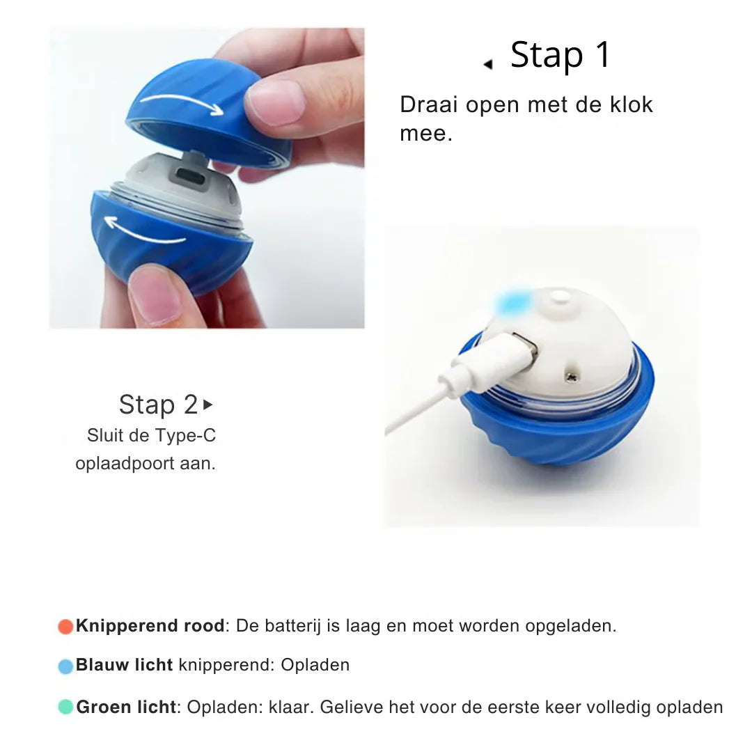 Automatisch Teaser Hondenballetje