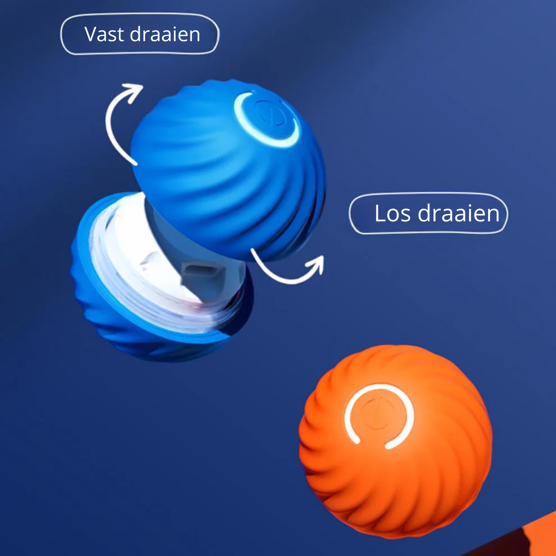Automatisch Teaser Hondenballetje