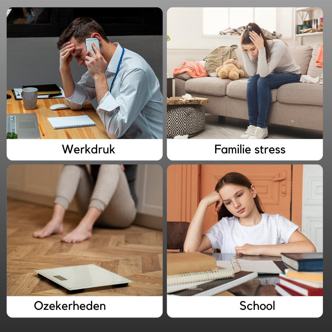 FitBoks™ Muziektrainer