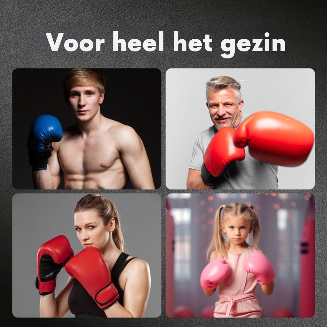 FitBoks™ Muziektrainer
