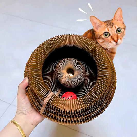 Kattenkrab Rol