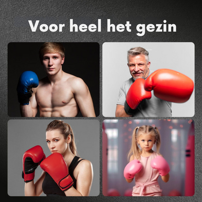 FitBoks™ Muziektrainer